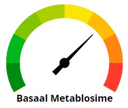 Lees meer over het artikel BMR (Basaal metabolisme) berekenen