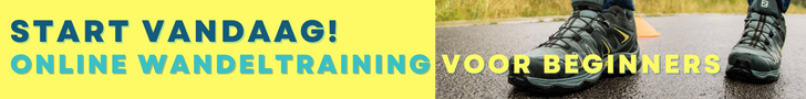 Online Wandeltraining